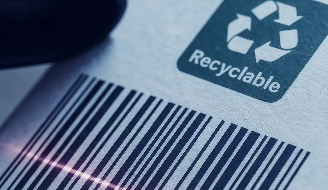 The best examples of eco-friendly ecommerce