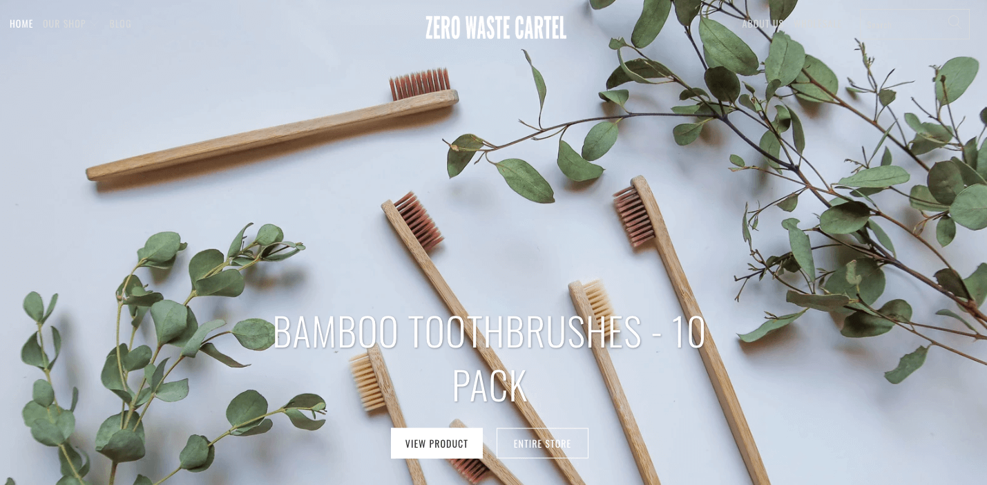 bamboo toothbrush initiative