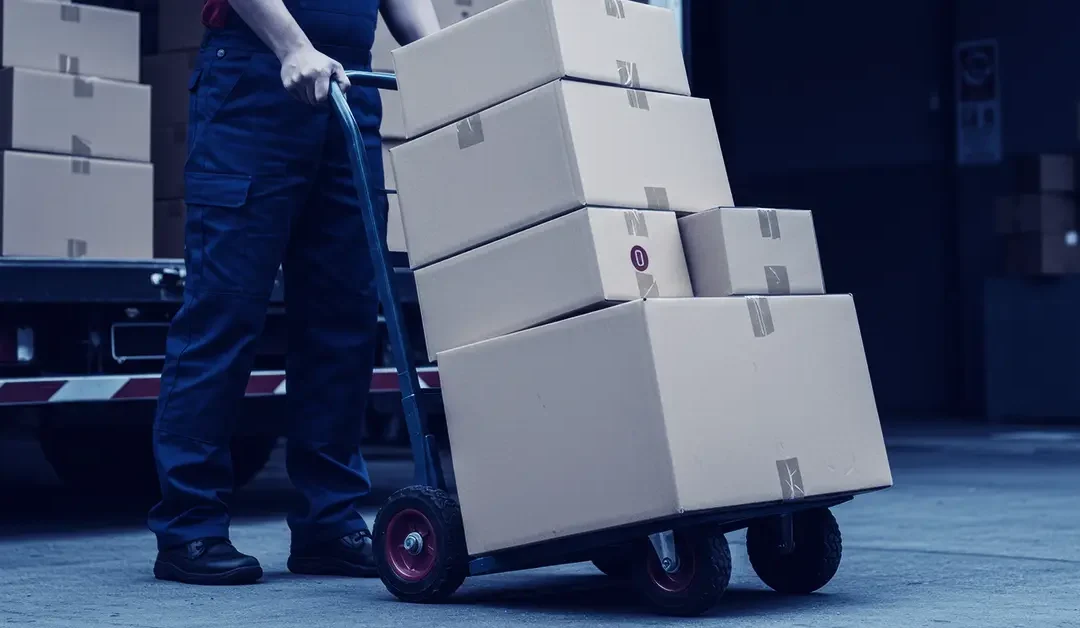 Pick and Sort to Trolley Step by Step