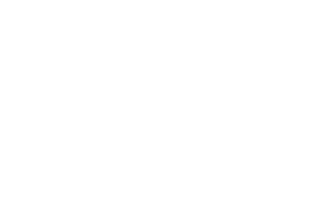 public desire logo
