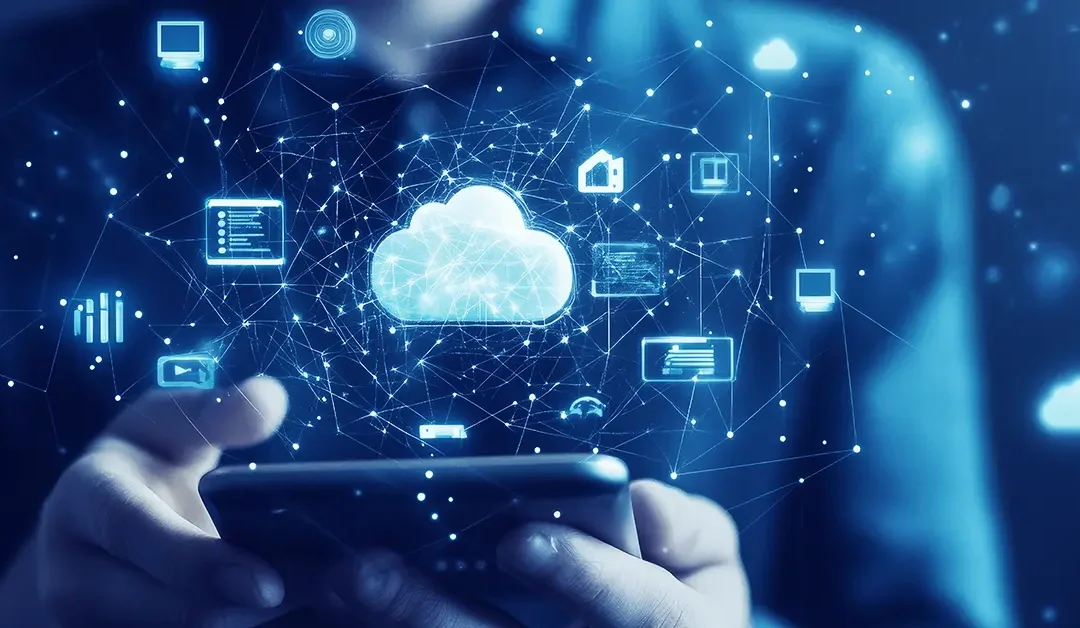 What is a WMS (Warehouse Management System)?