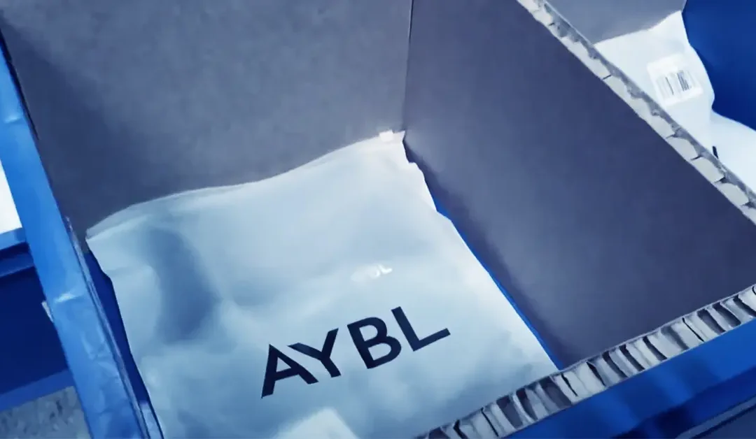Activewear Brand AYBL Increases Fulfillment Efficiency by 100% with Descartes WMS