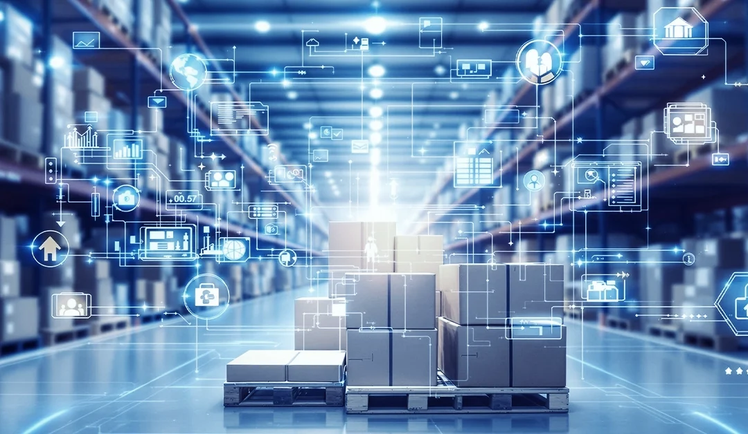 Types of Warehouse Management Systems 