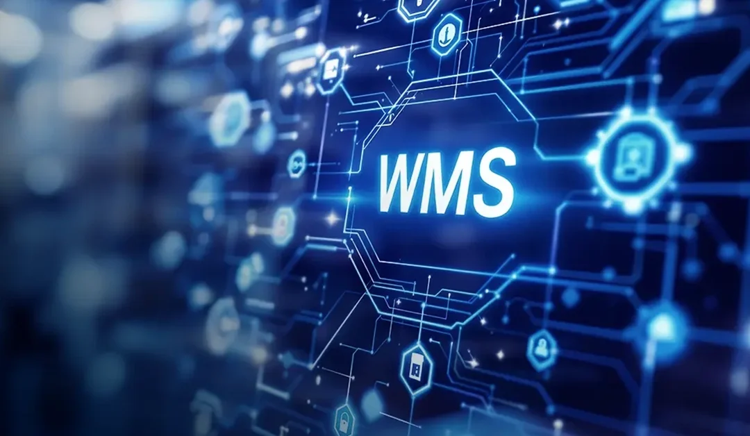 The Ultimate Guide to Selecting The Best WMS for Ecommerce 