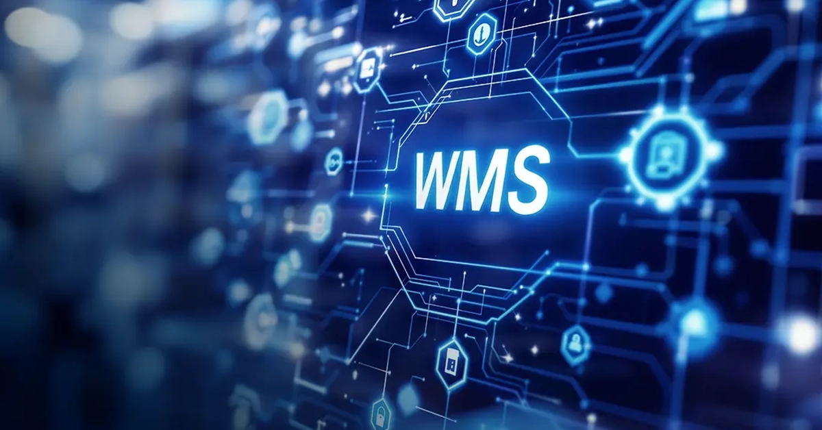 The Ultimate Guide to Selecting The Best WMS for Ecommerce
