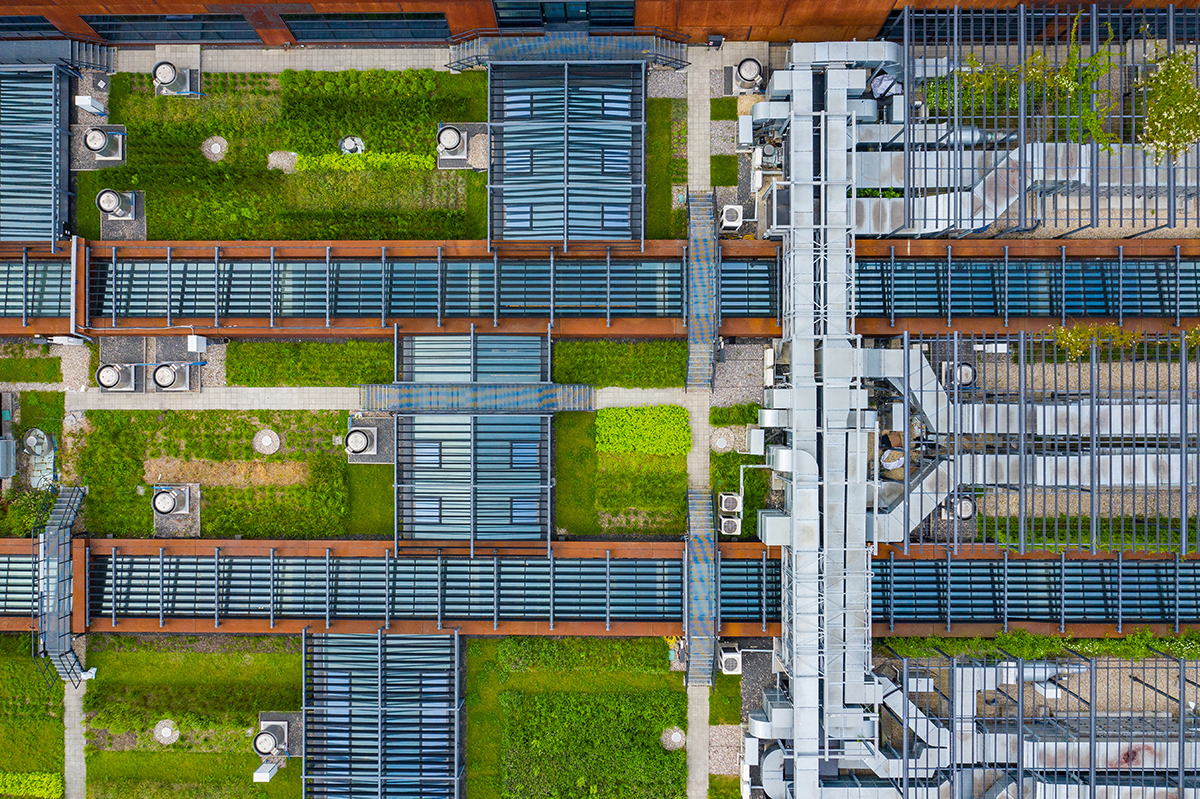 Warehouse with an eco-friendly green roof